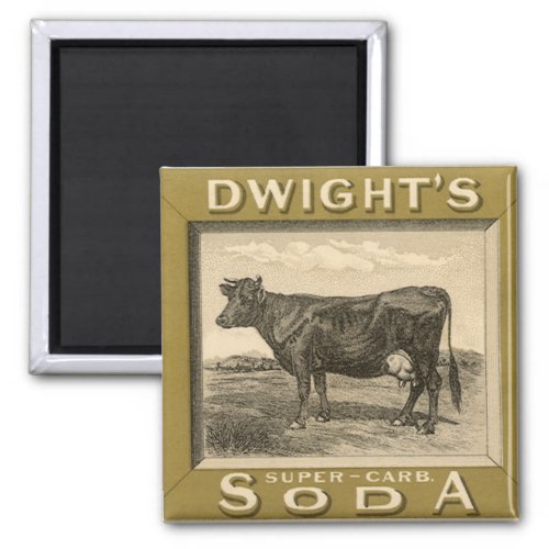 Vintage Product Label Dwights Bicarbonated Soda Magnet