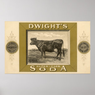 Vintage Product Label, Dwight's Bicarbonated Soda Poster