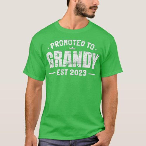 Vintage Promoted to Grandy Est 2023 Grandpa Father T_Shirt