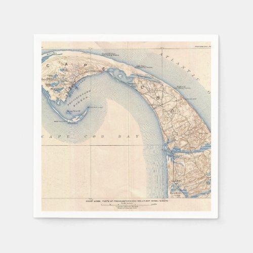 Vintage Provincetown Cape Cod Massachusetts Survey Napkins