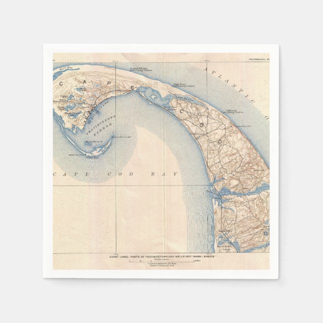 Vintage Provincetown Cape Cod Massachusetts Survey Napkins (Front)