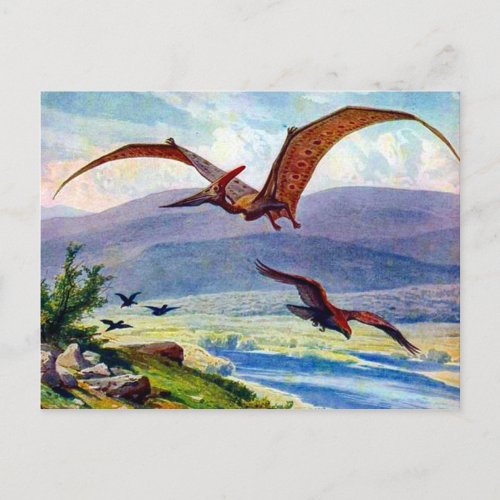 Vintage Pteranodon Painting by Heinrich Harder Postcard