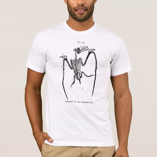 Vintage Pterodactyl Fossil T-Shirt (Front)
