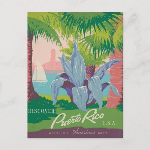 Vintage Puerto Rico  Postcard