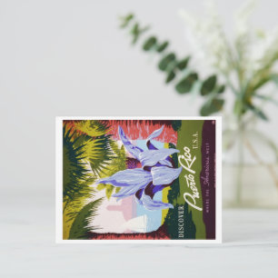 Vintage Puerto Rico Travel Tropical Save-the-Date Announcement Postcard