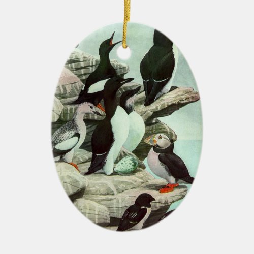 Vintage Puffins and Aquatic Birds by Louis Fuertes Ceramic Ornament