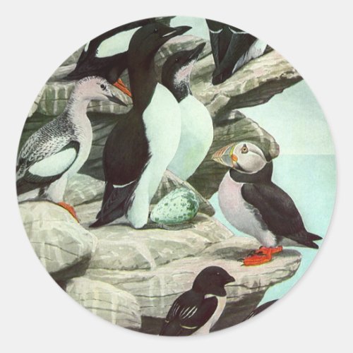 Vintage Puffins and Aquatic Birds by Louis Fuertes Classic Round Sticker