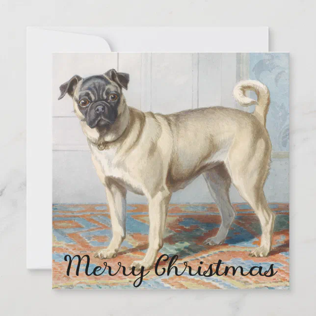 Vintage Pug Christmas Card | Zazzle
