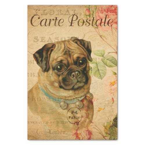 Vintage Pug Dog Floral French Carte Postale Tissue Paper