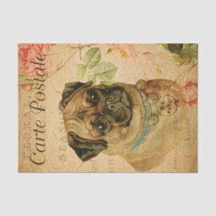 Vintage Pug Dog Floral French Carte Postale Tissue Paper