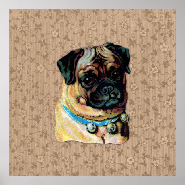 Vintage Pug Dog Print (Front)