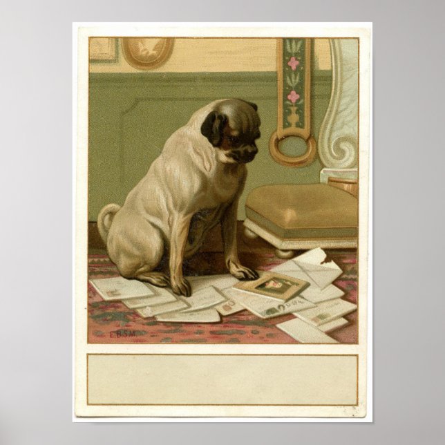 Vintage Pug Poster (Front)