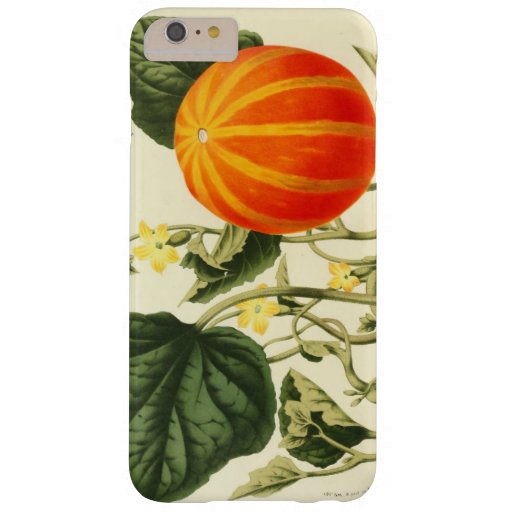 Vintage Pumpkin Botanical Print iPhone 7 Cases