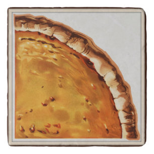 Vintage Pumpkin Pie Trivet