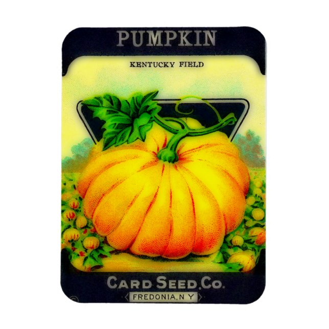 Vintage Pumpkin Seeds Packet - Magnet (Vertical)