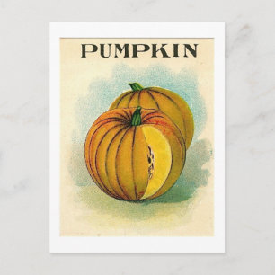 vintage pumpking seed packet postcard