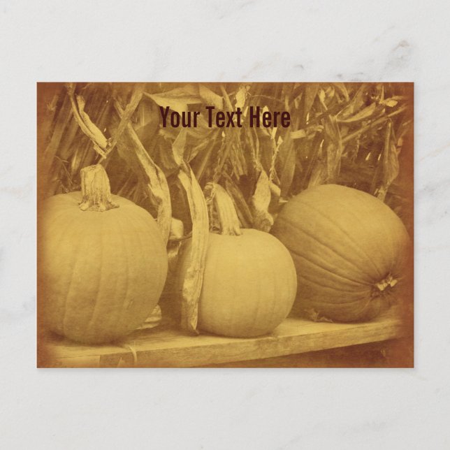 Vintage Pumpkins Cornstalks Customizable Postcard (Front)