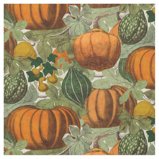 Vintage Pumpkins & Gourds Fabric | Zazzle