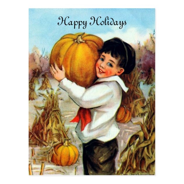 Vintage Pumpkins Postcard
