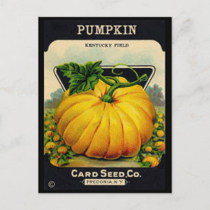 Vintage Pumplin Seed Ad Postcard