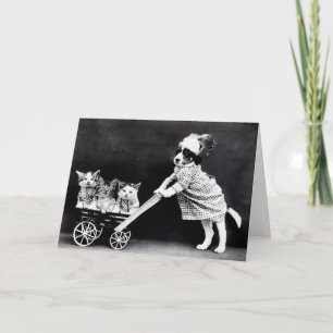 Vintage Puppies and Kittens Note Cards