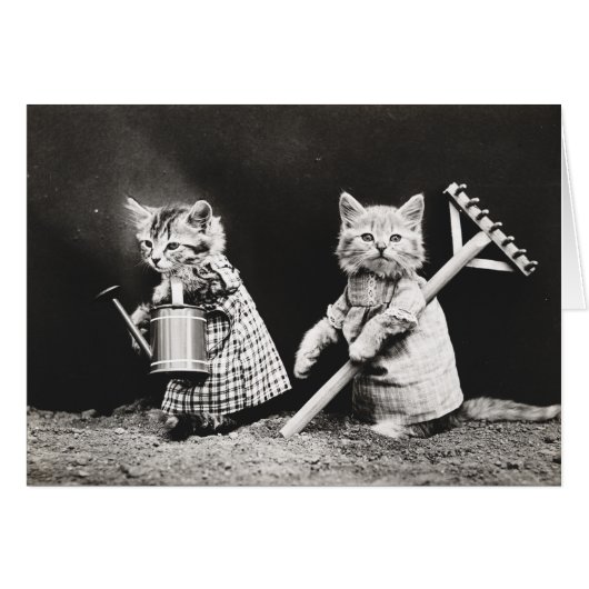 Vintage Puppies and Kittens Note Cards (Front Horizontal)