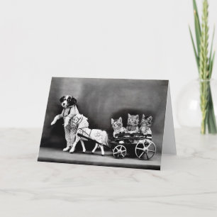 Vintage Puppies and Kittens Note Cards