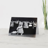 Vintage Puppies and Kittens Note Cards