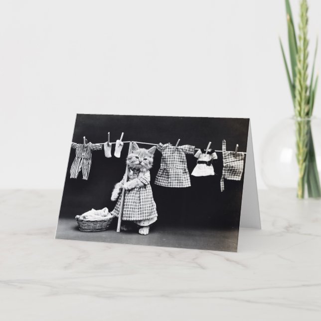 Vintage Puppies and Kittens Note Cards (Front)