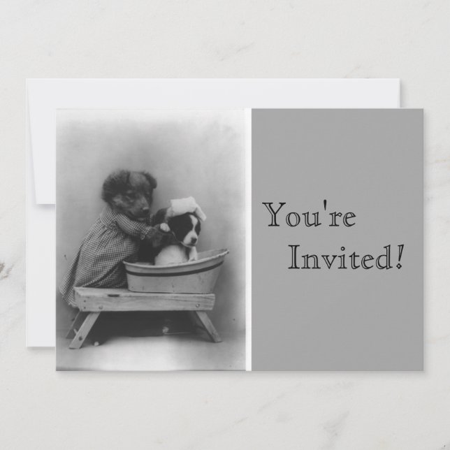 Vintage Puppies Bath Birthday Invitation (Front)