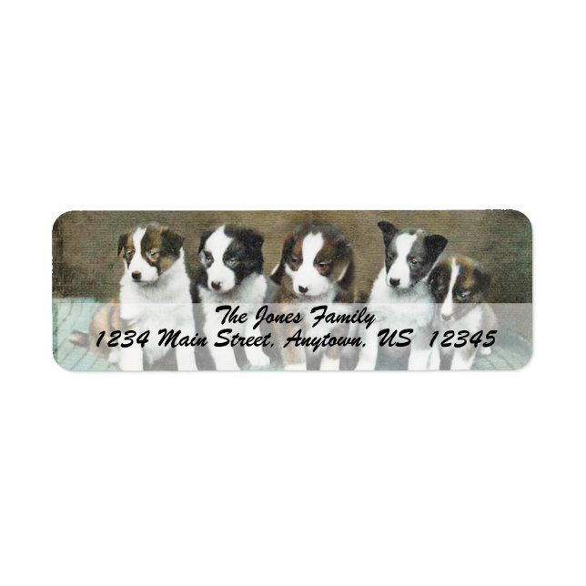 VINTAGE PUPPIES Custom Address Labels (Front)