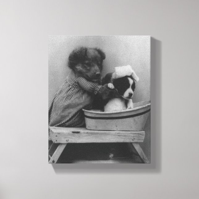 Vintage Puppies | Funny Dog Bath Photo Canvas Print (Front)