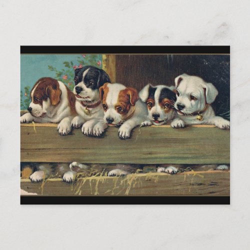 Vintage Puppies Illustration Hunde_Welpen Postcard