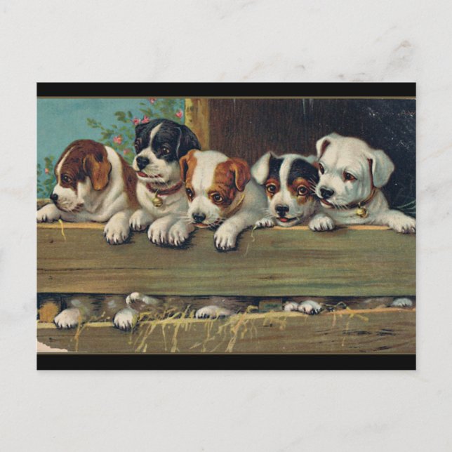 Vintage Puppies Illustration, Hunde-Welpen Postcard (Front)