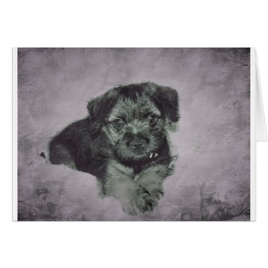 Vintage puppy cards (Front Horizontal)