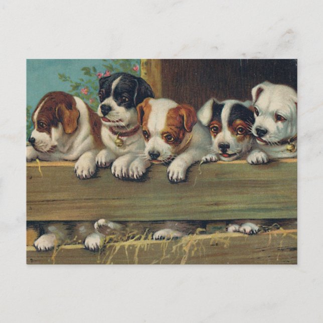 Vintage Pups Postcard (Front)