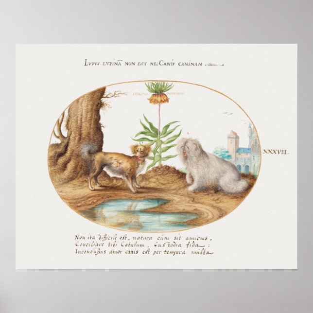 Vintage Pups Poster (Front)