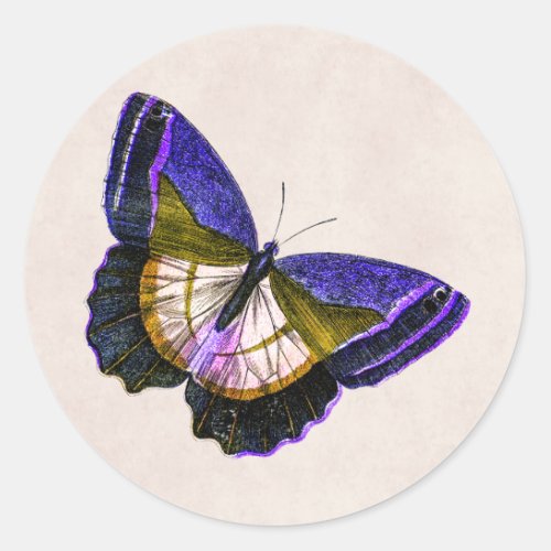 Vintage Purple and Gold Butterfly Illustration Classic Round Sticker