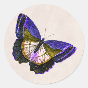 Vintage Purple and Gold Butterfly Illustration Classic Round Sticker