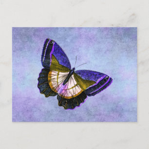 Vintage Purple and Gold Butterfly Illustration Postcard