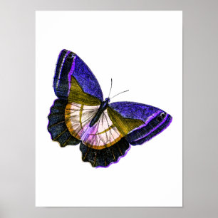 Vintage Purple and Gold Butterfly Illustration Poster