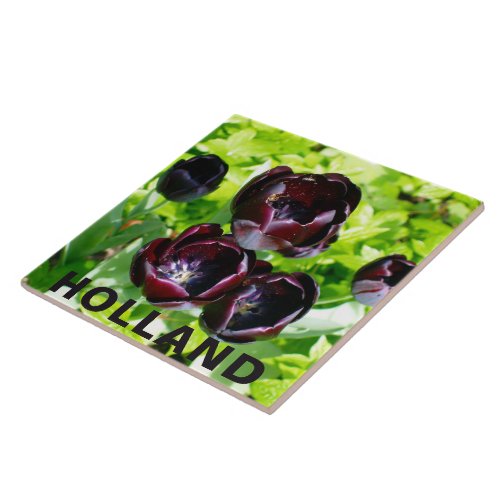 Vintage Purple Black Green Tulips Flowers Holland Ceramic Tile