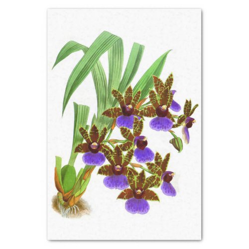 Vintage Purple Burgundy Orchid Flower Decoupage Tissue Paper