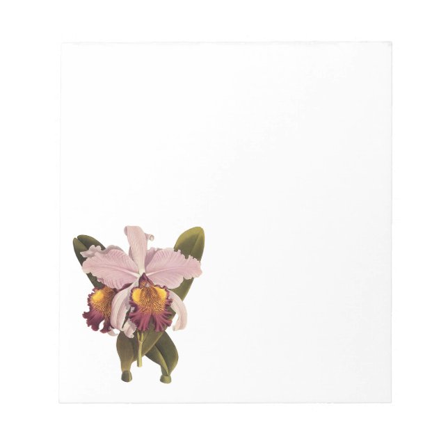 Vintage Purple Cattleya Orchid, Tropical Flowers Notepad (Front)