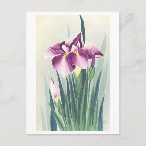 Vintage Purple Iris from Japan Postcard