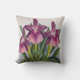 Vintage Purple Lady Orchids Miltonia Spectabilis Throw Pillow
