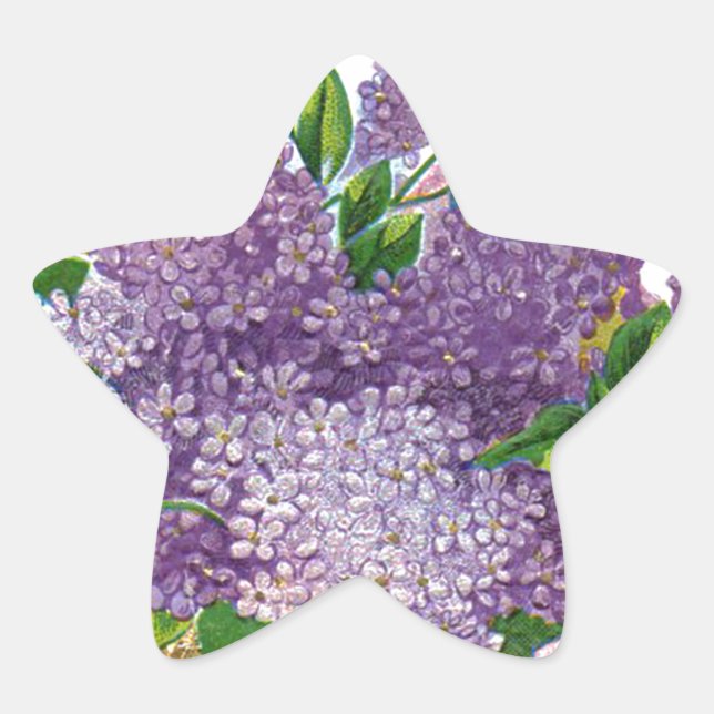 Vintage Purple Lilacs Antique Flower Bouquet Star Sticker (Front)