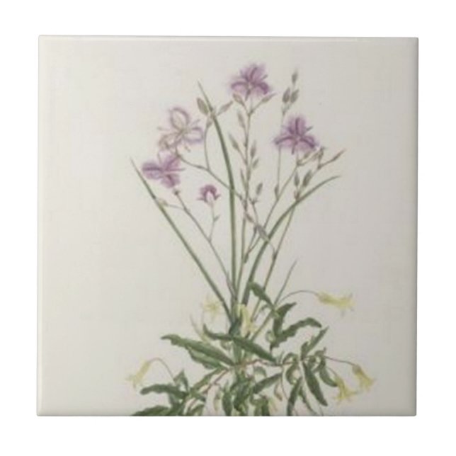 Vintage Purple Wildflowers Tile (Front)