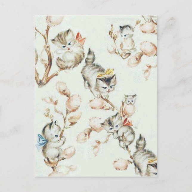 Vintage Pussy Willow Postcard (Front)