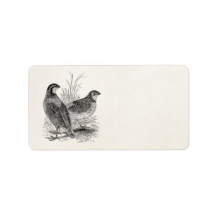 Vintage Quail Birds - Personalized Retro Game Bird Label